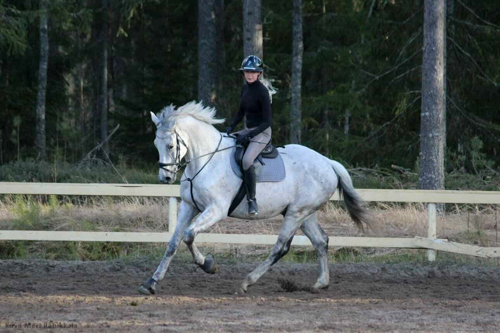 Gravann