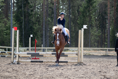hevonen